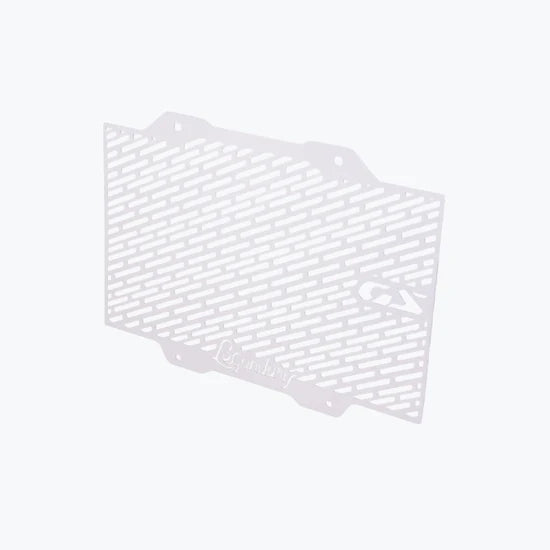 BMW | BMW F450 GS Vector Radiator Guard Grill – Silver