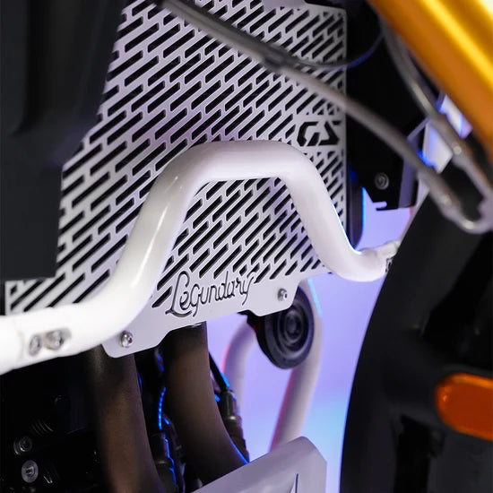 BMW | BMW F450 GS Vector Radiator Guard Grill – Silver
