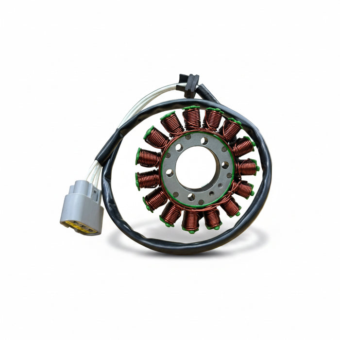 ARASHI  | BMW S1000RR 2009-18  STATOR MAGNET COIL