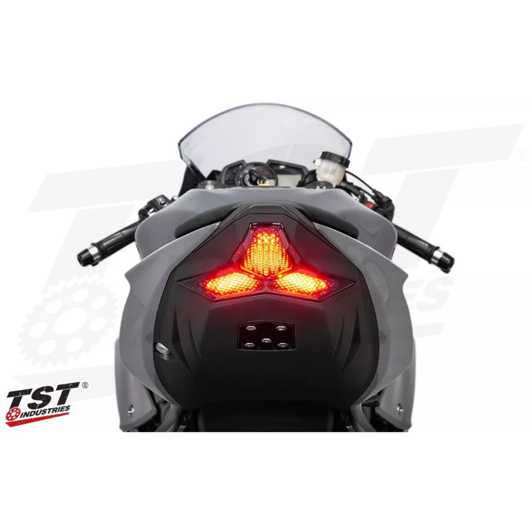 10362 | Kawasaki | Kawasaki | TST | LED Tail Light Smoked Lens - Image 3