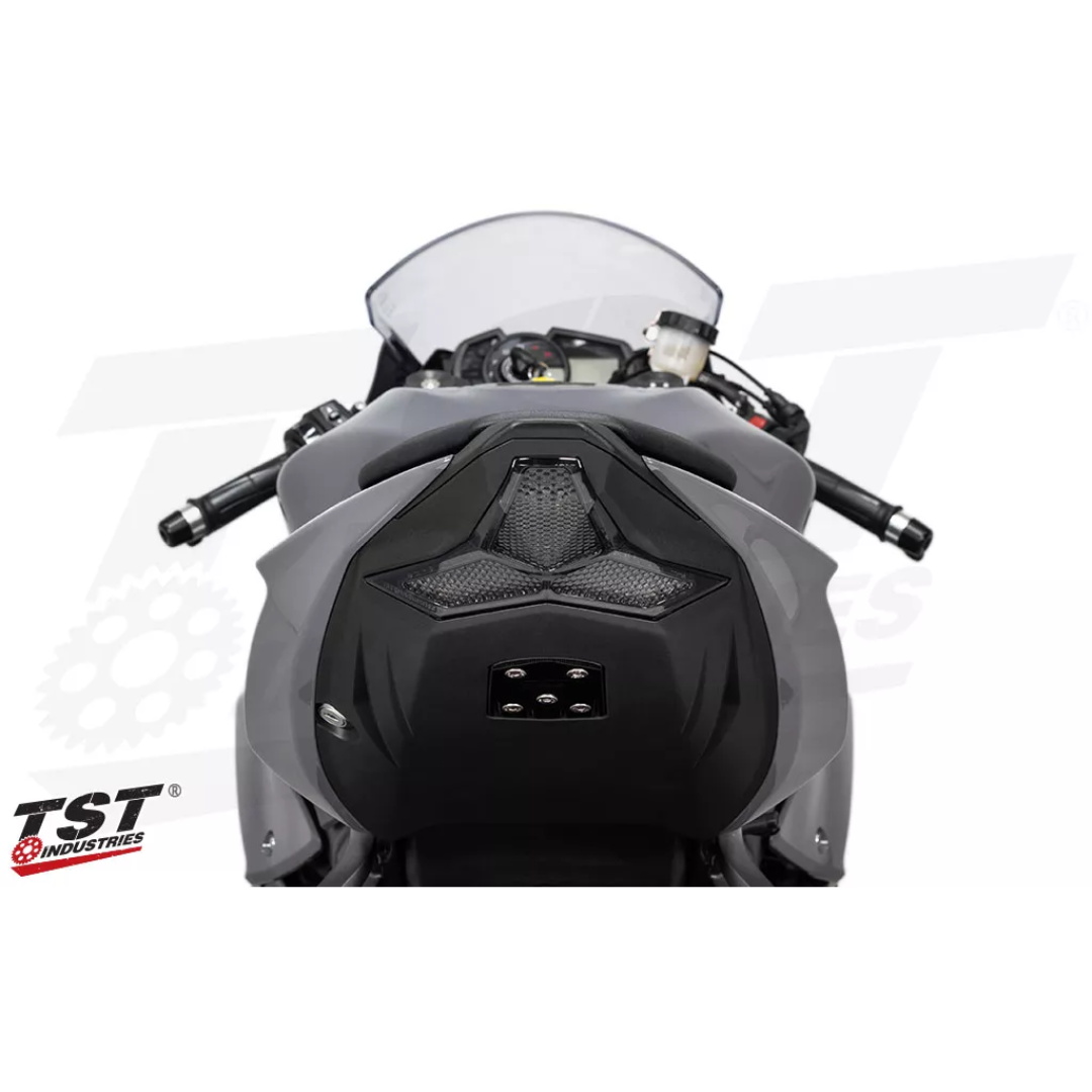 10362 | Kawasaki | Kawasaki | TST | LED Tail Light Smoked Lens - Image 2