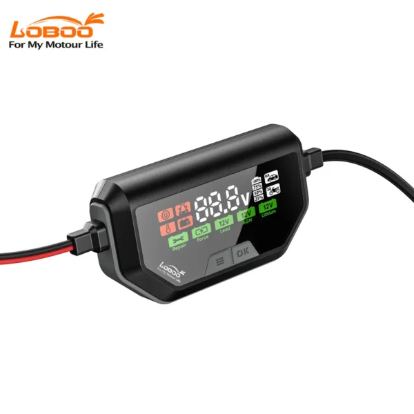 LOBOO C60 Smart Battery Charger & Maintainer